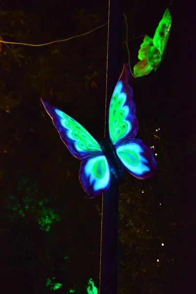 DSC_6999 (Large).JPG